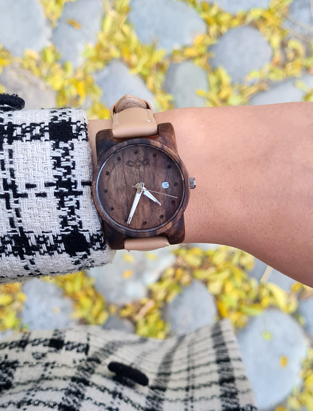 وینسار گردو - تصویر 3